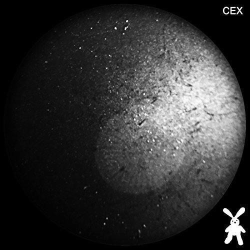 Cex Cex