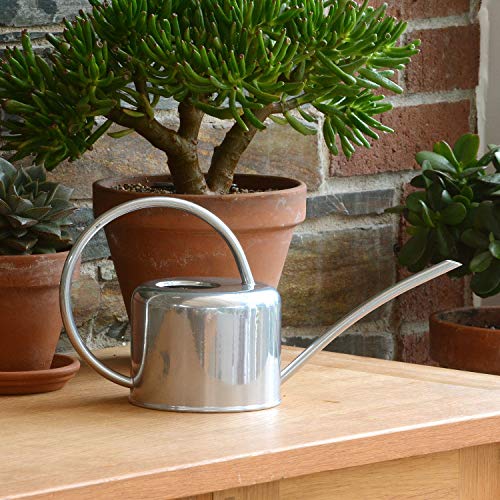 CKB LTD® - Regadera de interior (1,1 L, acero galvanizado, revestimiento en polvo de tiza, para plantas de interior, diseño de metal contemporáneo con boquilla estrecha y mango alto), plata CKB LTD® - Regadera de interior (1,1 L, acero galvanizado, revestimiento en polvo de tiza, para plantas de interior, diseño de metal contemporáneo con boquilla estrecha y mango alto), plata