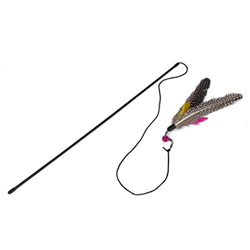 Desconocido Varilla con Campana Cuerda Pluma Colgada Juguete para Mascota Gatos Kitten Desconocido Varilla con Campana Cuerda Pluma Colgada Juguete para Mascota Gatos Kitten