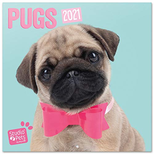 ERIK - Calendario de pared 2021 Studio Pets Pugs, 30x30 cm