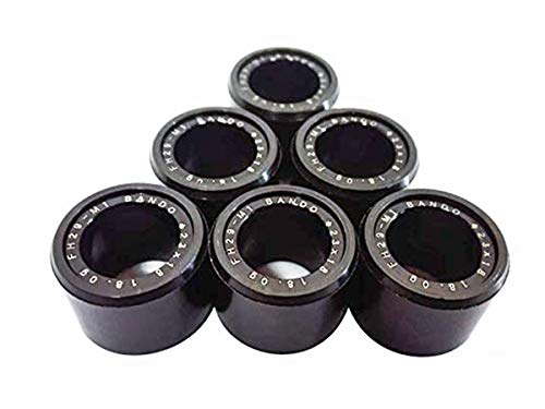 G71801401206 - Kit de 6 rodillos 18 x 14 12 g para moto Kymco Downtown I Agility Heroism Movie K-XCT People 125/150 G71801401206 - Kit de 6 rodillos 18 x 14 12 g para moto Kymco Downtown I Agility Heroism Movie K-XCT People 125/150