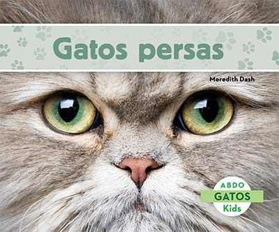 Gatos persas (Gatos / Cats)