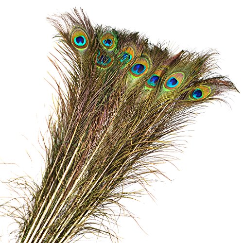 H0_V - Lote de 20 plumas de pavo real, plumas naturales de pavo real, decoración para la casa, fiesta decoración de boda