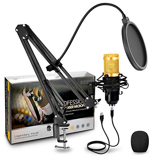 HyAdierTech Micrófono de Condensador, Micrófono de Condensador con Conector de Audio de 3.5 mm, con Soporte de Brazo de Tijera, Montaje de Choque, Filtro de Pop, para grabación, podcasting, Youtube HyAdierTech Micrófono de Condensador, Micrófono de Condensador con Conector de Audio de 3.5 mm, con Soporte de Brazo de Tijera, Montaje de Choque, Filtro de Pop, para grabación, podcasting, Youtube