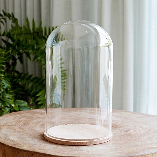 Lights4fun - Campana de Cristal Minimalista XL con Base de Haya Lights4fun - Campana de Cristal Minimalista XL con Base de Haya
