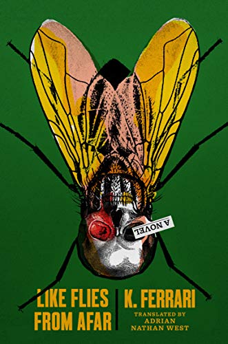 Like Flies from Afar: A Novel (English Edition)
