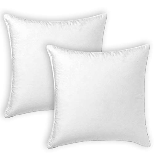 MERCURY TEXTIL- Relleno de Cojin Juego de 2/4 Unidades Super Suave Mullido, Antialergico, Fibra Hueca de Alta recuperacion, para Sofá,Cama,Coche (2 Rellenos, 45X45 cm) MERCURY TEXTIL- Relleno de Cojin Juego de 2/4 Unidades Super Suave Mullido, Antialergico, Fibra Hueca de Alta recuperacion, para Sofá,Cama,Coche (2 Rellenos, 45X45 cm)