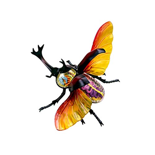 Modelo Educativo 4D Hercules Beetle Modelos anatómicos Órgano Interno Esqueleto Grupo Modelo de ensamblaje Simulación Desmontable Animal Insecto Muñeca Decoración (Tamaño: 34 * 27.5 * 13Cm), Educati