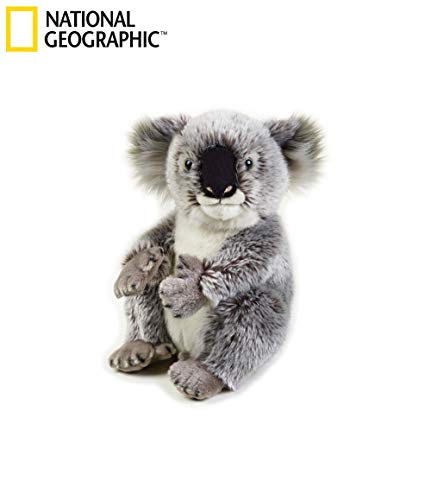 National Geographic - 8004332707080 - Peluche Koala National Geographic - 8004332707080 - Peluche Koala