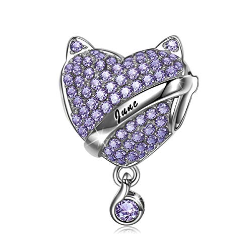 NINAQUEEN Charm Encaja con Pandora Regalos Mujer Originales Púrpura Piedra de Nacimiento Junio Alejandrita Plata de Ley 925 Zirconia Abalorios para Niñas Madre Hija Esposa de Cumpleaños NINAQUEEN Charm Encaja con Pandora Regalos Mujer Originales Púrpura Piedra de Nacimiento Junio Alejandrita Plata de Ley 925 Zirconia Abalorios para Niñas Madre Hija Esposa de Cumpleaños