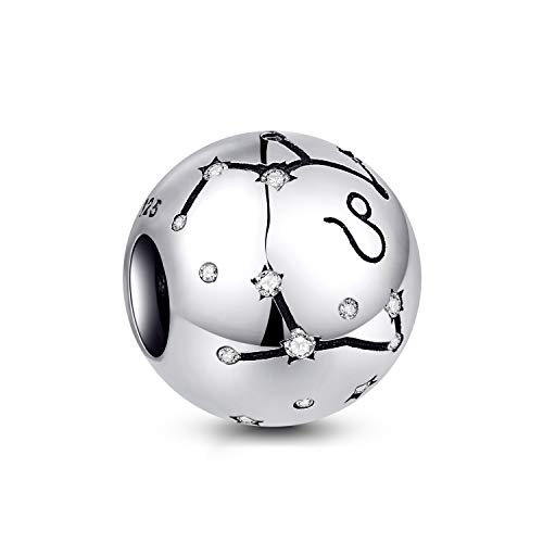 NINGAN Leo Encantos del Cumpleaños de 12 Signos del Zodiaco - Encantos de Plata Esterlina de 925 Ajustan Pulsera & Collar de - Regalos de cumpleaños Ideales para Mujeres y Amigos NINGAN Leo Encantos del Cumpleaños de 12 Signos del Zodiaco - Encantos de Plata Esterlina de 925 Ajustan Pulsera & Collar de - Regalos de cumpleaños Ideales para Mujeres y Amigos