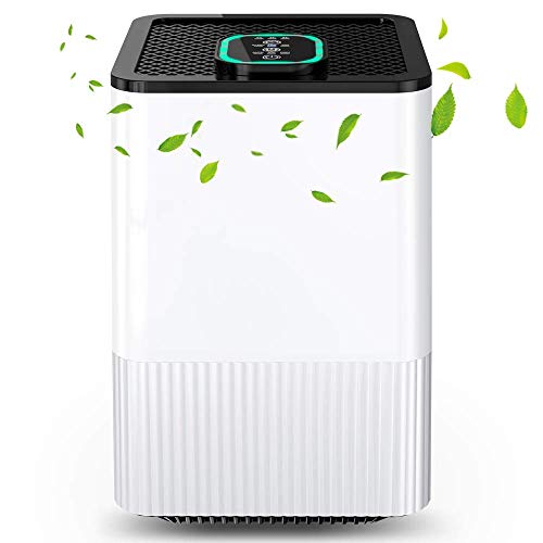 Nobebird Purificador de Aire 4 en 1 con Filtro HEPA, Limpiador de Aire Doméstico con Indicador y Temporizador, Captura Alergias, Polvo, Humo, Caspa de Mascotas, Hogar, Oficina Nobebird Purificador de Aire 4 en 1 con Filtro HEPA, Limpiador de Aire Doméstico con Indicador y Temporizador, Captura Alergias, Polvo, Humo, Caspa de Mascotas, Hogar, Oficina