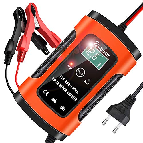 NWOUIIAY Cargador Batería Inteligente 12V 6A Cargador Baterías Coche Moto Múltiples Protecciones con LCD Pantalla Apto para 12V Baterías de Coche ATV SUV Moto Cortacésped