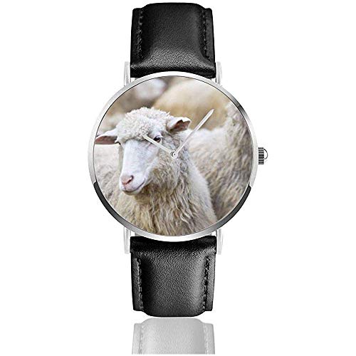 Ovejas Hocico Al Aire Libre Estar parado Observar Cría Animales Fauna Silvestrer Correa Relojes de Pulsera Quz Business Watch