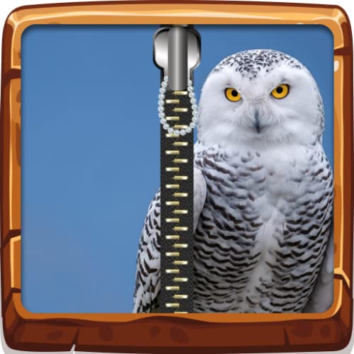 Owl Zipper Lock Screen