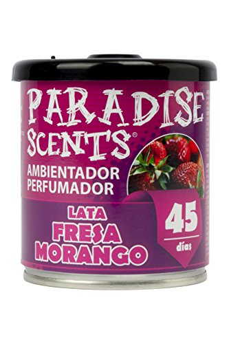Paradise PER80123 Perfumador Lata Gel Fresa 100 g