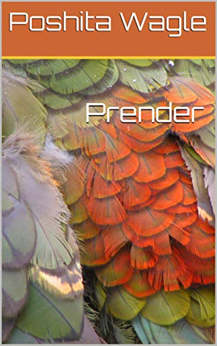 Prender (Portuguese Edition)