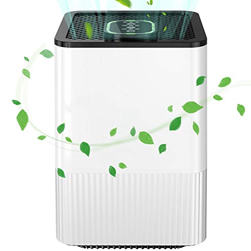 Purificador de Aire 4 en 1, para Hogar con Filtro Hepa, Iones Negativos,Indicador de Calidad del Aire y Temporizador,contra Alergias, Humo, Polvo, Polen Purificador de Aire 4 en 1, para Hogar con Filtro Hepa, Iones Negativos,Indicador de Calidad del Aire y Temporizador,contra Alergias, Humo, Polvo, Polen