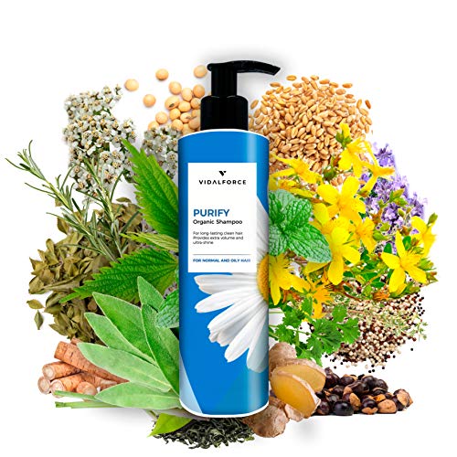 PURIFY, Champu pelo graso. Natural 100% y 81% Ecológico. Cabello limpio durante días- Champú pelo graso para mujer y hombre PURIFY, Champu pelo graso. Natural 100% y 81% Ecológico. Cabello limpio durante días- Champú pelo graso para mujer y hombre