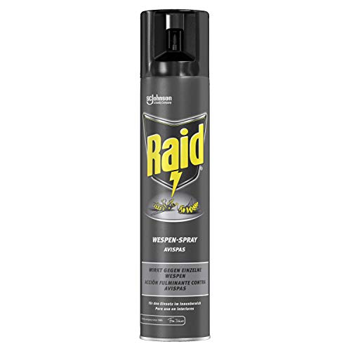 Raid - Insecticida para avispas en spray, acción fulminante, uso interior, aerosol 300 ml