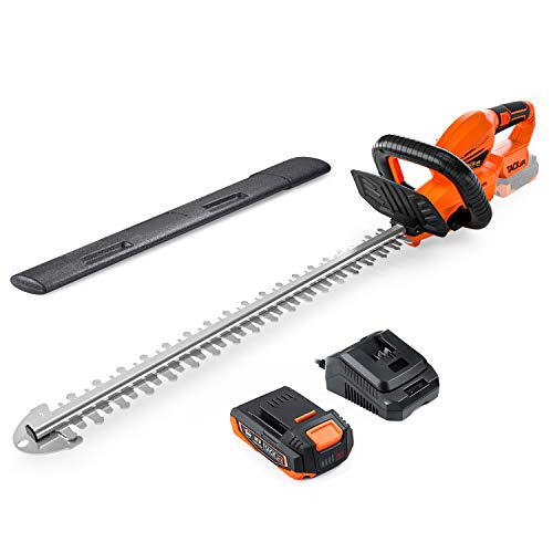 TACKLIFE Cortasetos, 18V 2.0Ah, con Batería Universal y Cargador Rápido, 180° Mango Giratorio, 56cm Longitud de Hoja, 19mm Distancia Entre Hoja, Hoja de Láser con Caja, Peso Ligero TACKLIFE Cortasetos, 18V 2.0Ah, con Batería Universal y Cargador Rápido, 180° Mango Giratorio, 56cm Longitud de Hoja, 19mm Distancia Entre Hoja, Hoja de Láser con Caja, Peso Ligero