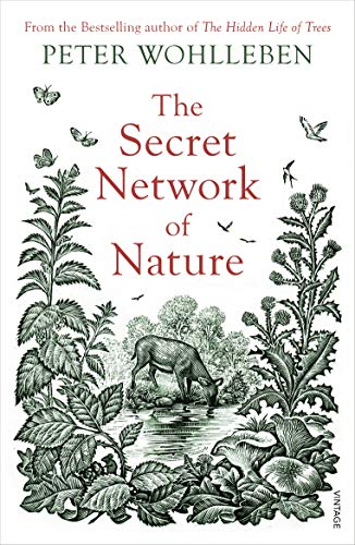 The Secret Network Of Nature: The Delicate Balance of All Living Things