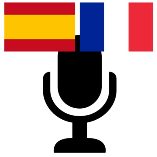 Traductor de ESPAÑOL a FRANCES - Hablar y Traducir