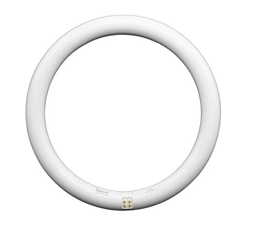 Tubo led circular ø 300 mm. Tubo circular blanco 20W - 6500K