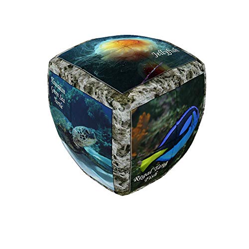 V-Cube "2 Essential-Sea World" Cubo (Multicolor) , color/modelo surtido