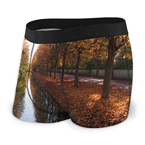 VOROY Men Boxer Briefs Cotton Multi-Size,Nature Landscape Water Trees Fall Fallen Leaves River Germany Park,Briefs For Male Soft Breathable Comfortable Stretch Underwear