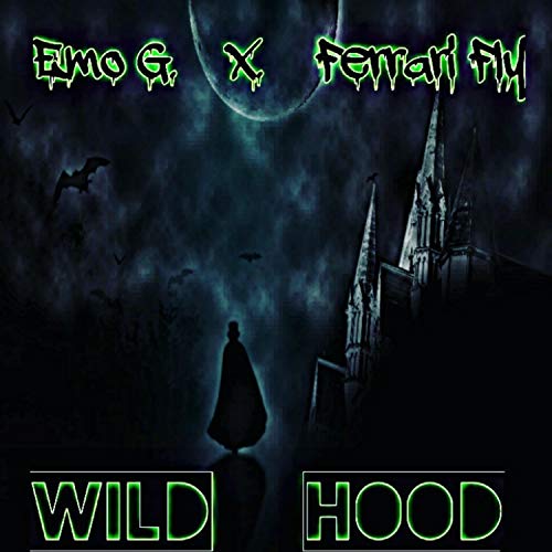 Wild Hood (feat. Ferrari Fly)