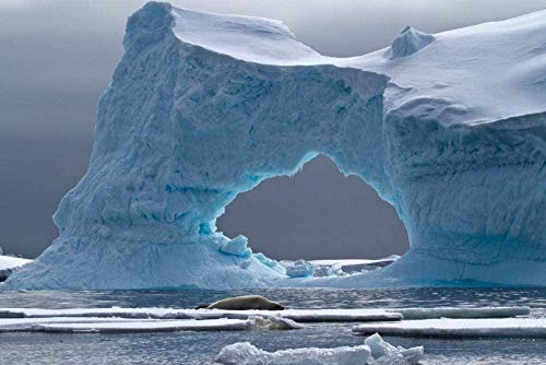 ZZMMUW Rompecabezas Petermann Island Iceberg Antártida Adultos Rompecabezas de Madera Niños Juegos Adultos Descompresión 1000 Piezas
