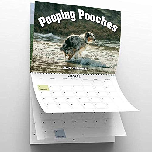 2021 Pooping Pooches Dog Calendar, White Elephant Gag Gift Exchange Yankee Swap Calendar ,2021 Wall Calendar,Wacky calendar 2021 Pooping Pooches Dog Calendar, White Elephant Gag Gift Exchange Yankee Swap Calendar ,2021 Wall Calendar,Wacky calendar