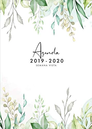 Agenda 2019 2020 Semana Vista: Agenda 2019/2020 18 meses: Organiza tu día - Agenda semanal - Julio 2019 a Diciembre 2020 - español - diseño floral Agenda 2019 2020 Semana Vista: Agenda 2019/2020 18 meses: Organiza tu día - Agenda semanal - Julio 2019 a Diciembre 2020 - español - diseño floral