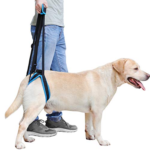 Arnés de elevación para perros, ayuda a elevar la parte posterior del perro, soporte para perros mayores, eritos, enfermos y discapacitados