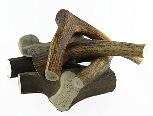 ARTISAN GIFT CO Mordedor Ecológico para Perros de Asta de Ciervo 100% Natural – Tamaño L/Peso 150 gr.+ / 1 und. ARTISAN GIFT CO Mordedor Ecológico para Perros de Asta de Ciervo 100% Natural – Tamaño L/Peso 150 gr.+ / 1 und.