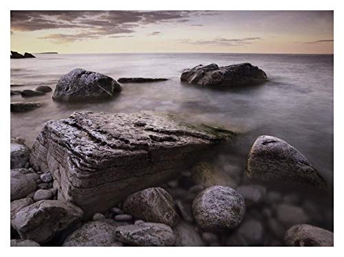 Artworks Italia Log volcado de Playa, Parque Nacional de la Península de Bruce, Ontario, Canada-Paper Art 34 x 66 cm