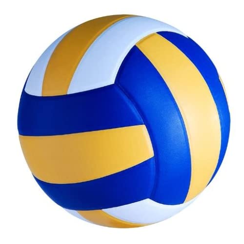 Beach VolleyBall Version V12