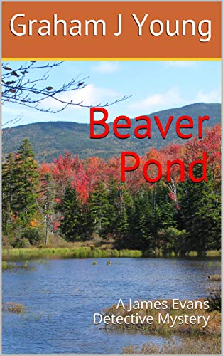 Beaver Pond: A James Evans Detective Mystery (English Edition)