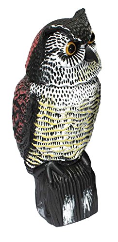 Biotop B2400 Búho Espantapájaros, Gira la Cabeza con el Viento, No necesita Pilas, Marrón Biotop B2400 Búho Espantapájaros, Gira la Cabeza con el Viento, No necesita Pilas, Marrón