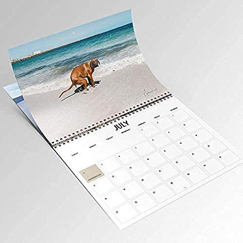Calendario de perro Pooping Pooches 2021, intercambio de regalo de elefante blanco Yankee Swap, Santa Secret, bolsa de regalo de Stocking, calendario de pared de enero de 2021 a diciembre de 2021.