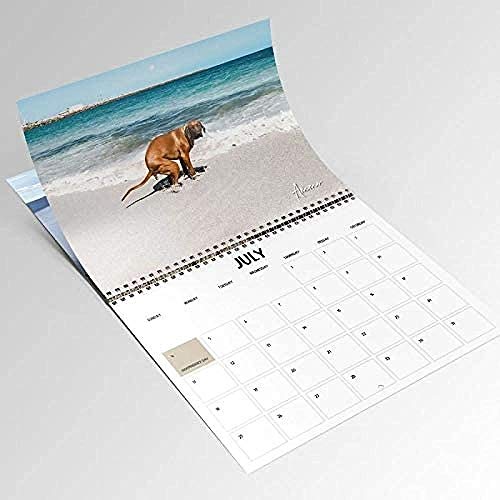 Calendario de perro Pooping Pooches 2021, intercambio de regalo de elefante blanco Yankee Swap, Santa Secret, bolsa de regalo de Stocking, calendario de pared de enero de 2021 a diciembre de 2021. Calendario de perro Pooping Pooches 2021, intercambio de regalo de elefante blanco Yankee Swap, Santa Secret, bolsa de regalo de Stocking, calendario de pared de enero de 2021 a diciembre de 2021.