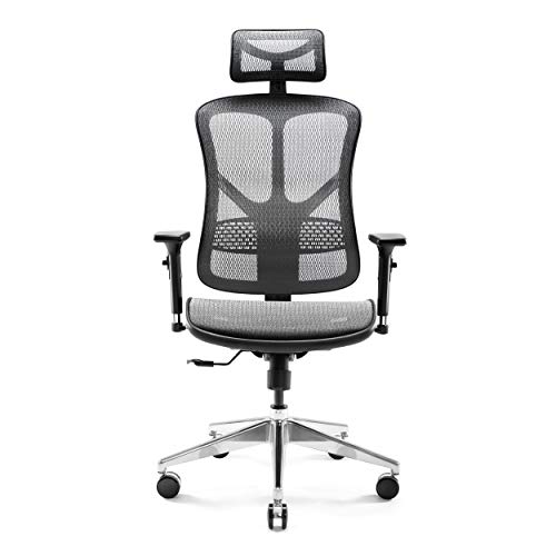 Diablo V-Basic Silla ergonómica de Escritorio reposabrazos Ajustables reposacabezas 3D función de inclinación Malla selección de Color (Negro-Gris) Diablo V-Basic Silla ergonómica de Escritorio reposabrazos Ajustables reposacabezas 3D función de inclinación Malla selección de Color (Negro-Gris)