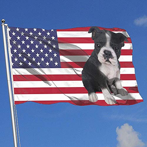 Elaine-Shop Banderas al Aire Libre American Puppy Boston Terrier Dog 4 * 6 Ft Flag para la decoración del hogar Fanático de los Deportes Fútbol Baloncesto Béisbol Hockey