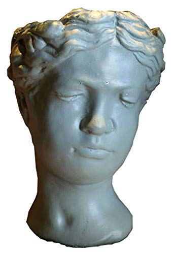 Escultura de escritorio Venus diosa busto estatua maceta olla escultura artesanía creativa al aire libre plantación jardín arte belleza decoración accesorios