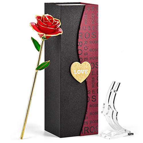 FORGIFTING Rosa Eterna Roja, Regalos Originales para Muje, Mama Aniversario Regalo, Ideas Cumpleaños Regalo Novia, Regalos Navidad San Valentin Sant Jordi, Día de la Madre Regalo - Flor de Oro 24K