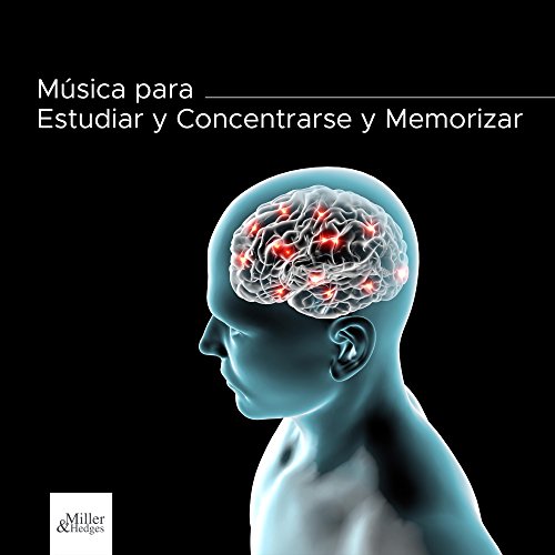 Formación Estudio Formación Estudio