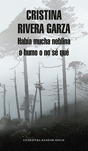 Había Mucha Neblina O Humo O No Sé Qué Caminar Con Juan Rulfo / There Was a Lot of Fog, or Smoke, or I'm Not Sure What: Walking with Juan Rulfo