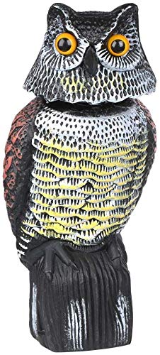 HelpAccess Búho Espantapájaros. Marrón. 41 cm. de Alto. Espanta a Las Aves molestas, Ahuyentador de Aves Tipo Estatua búho con Ojos Reflectantes HelpAccess Búho Espantapájaros. Marrón. 41 cm. de Alto. Espanta a Las Aves molestas, Ahuyentador de Aves Tipo Estatua búho con Ojos Reflectantes