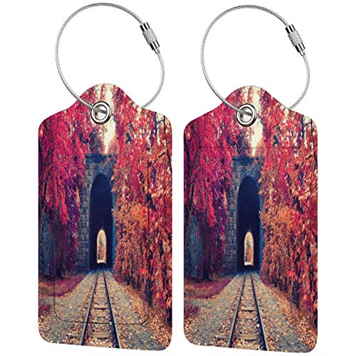 Hermoso túnel de otoño personalizado de cuero maleta de lujo conjunto de etiquetas de viaje accesorios de equipaje etiquetas